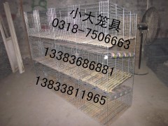 供應雞籠，鴿籠，兔籠，狐貍籠，貉籠，鵪鶉籠，寵物籠及飲水器