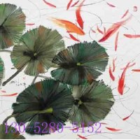 蘇州少兒興趣特長(zhǎng)培訓(xùn)班美術(shù)素描國(guó)畫(huà)培訓(xùn)班哪里好